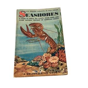 May include: A vintage book titled "Seashores" with a colorful illustration of a lobster on the cover. The book is a guide to shells, sea plants, shore birds, and other natural features of American coasts. It is part of the Golden Nature Guide series.