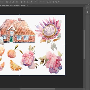 Licencja komercyjna - Pakiet wycinanek roślinnych i klipów artystycznych - Pliki Adobe Photoshop