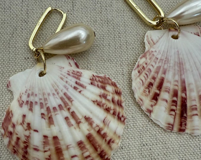 トゲのあるMurex貝 - 海洋標本 - Etsy 日本