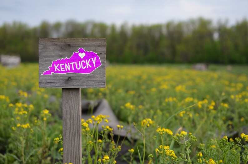 Kentucky Stencil Reusable Color Draw &amp; Paint Stencil - Etsy