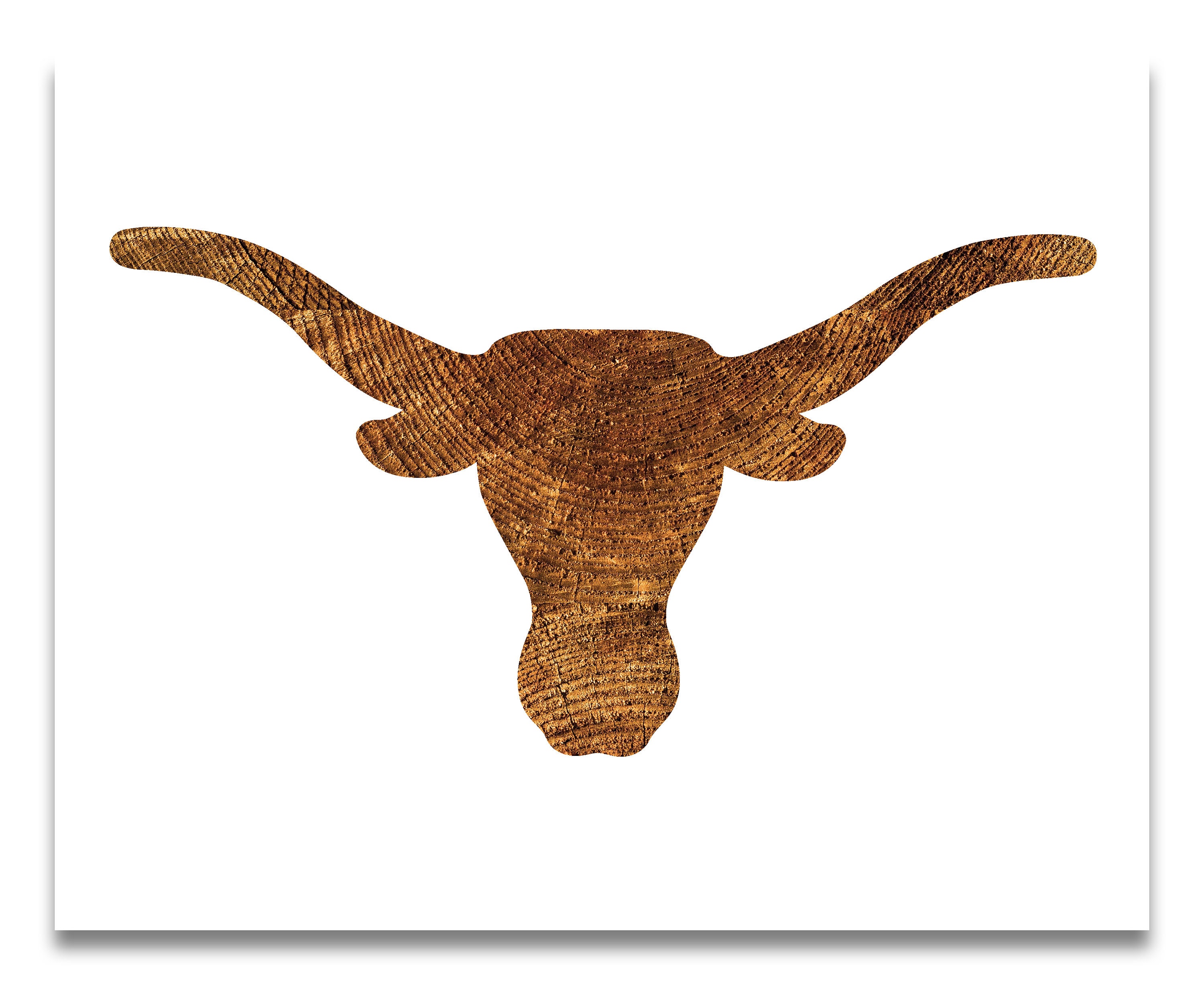 Texas Longhorn Stencil Reusable Color Draw & Paint Cool Etsy