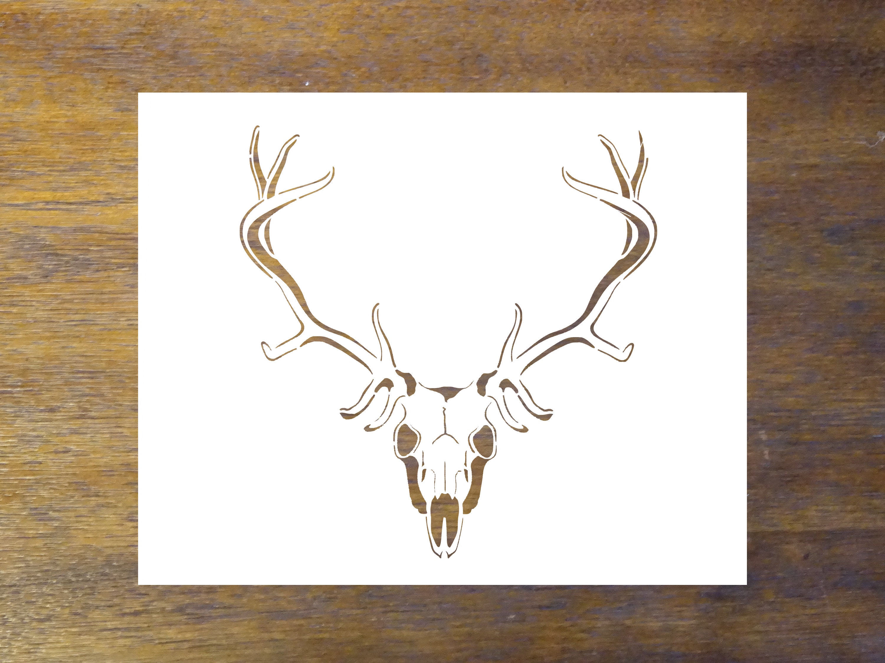 Deer Skull Stencil Reusable Color Draw Paint Stencil Etsy whitetail-deer-skull-drawing-at-getdrawings-free-download