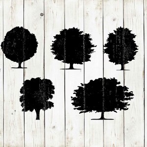 Oak Tree Stencil Walnut Tree Stencil Juniper Tree Stencil - Etsy