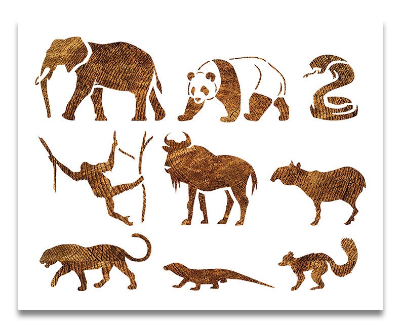 Paint Custom Stencil Art Reusable Color 11x9 Draw Tiger Pattern Stencil Paint Custom Stencil Art Reusable Color 11x9 Draw Tiger Pattern Stencil