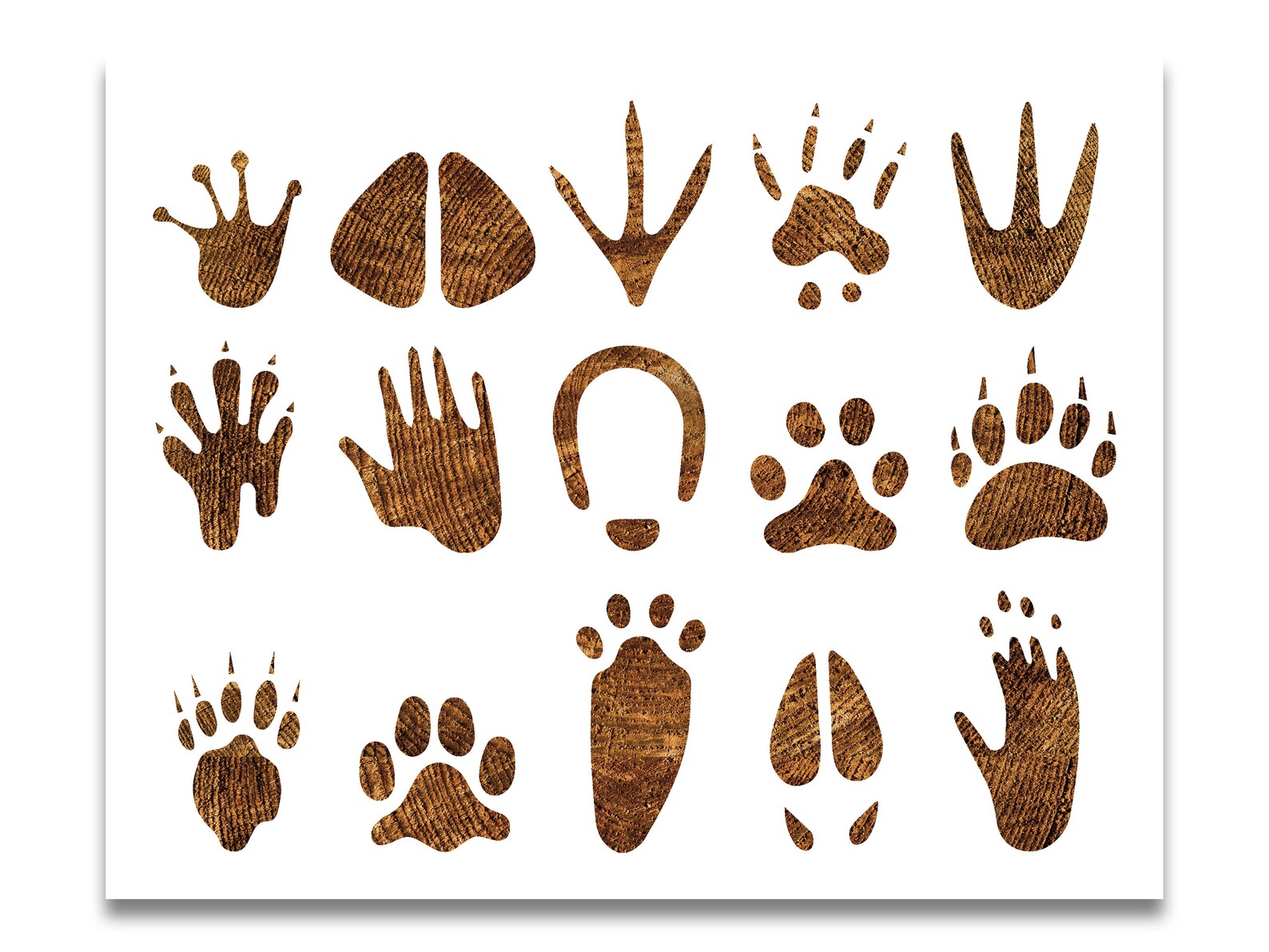 Animal Footprint Stencil 11x9 Reusable Color Draw Paint Etsy
