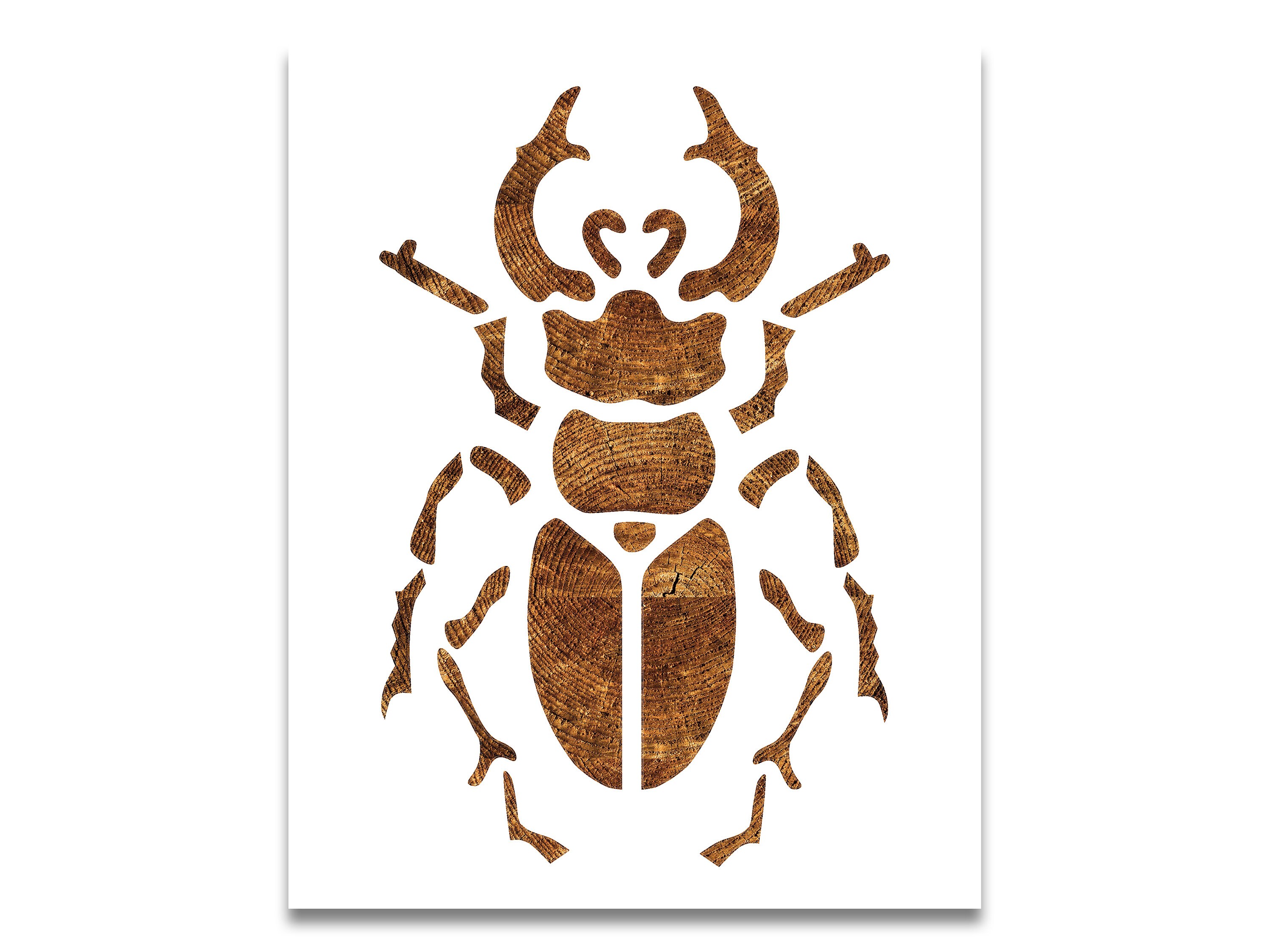 Scarab Beetle Stencil Reusable Color Draw & Paint Cool - Etsy UK