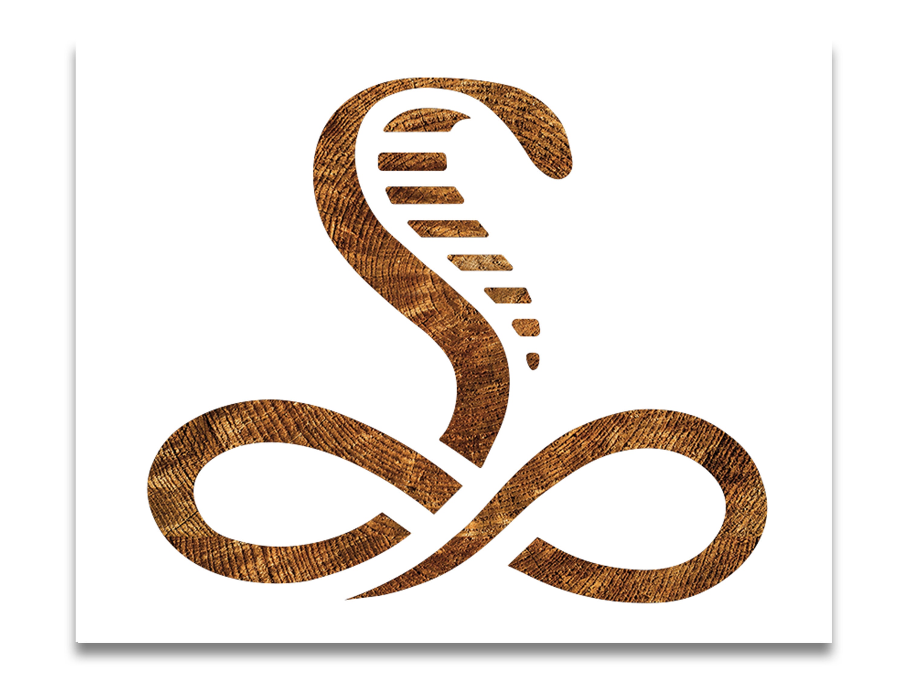 Infinity Cobra Stencil Reusable Color Draw & Paint Stencil | Etsy