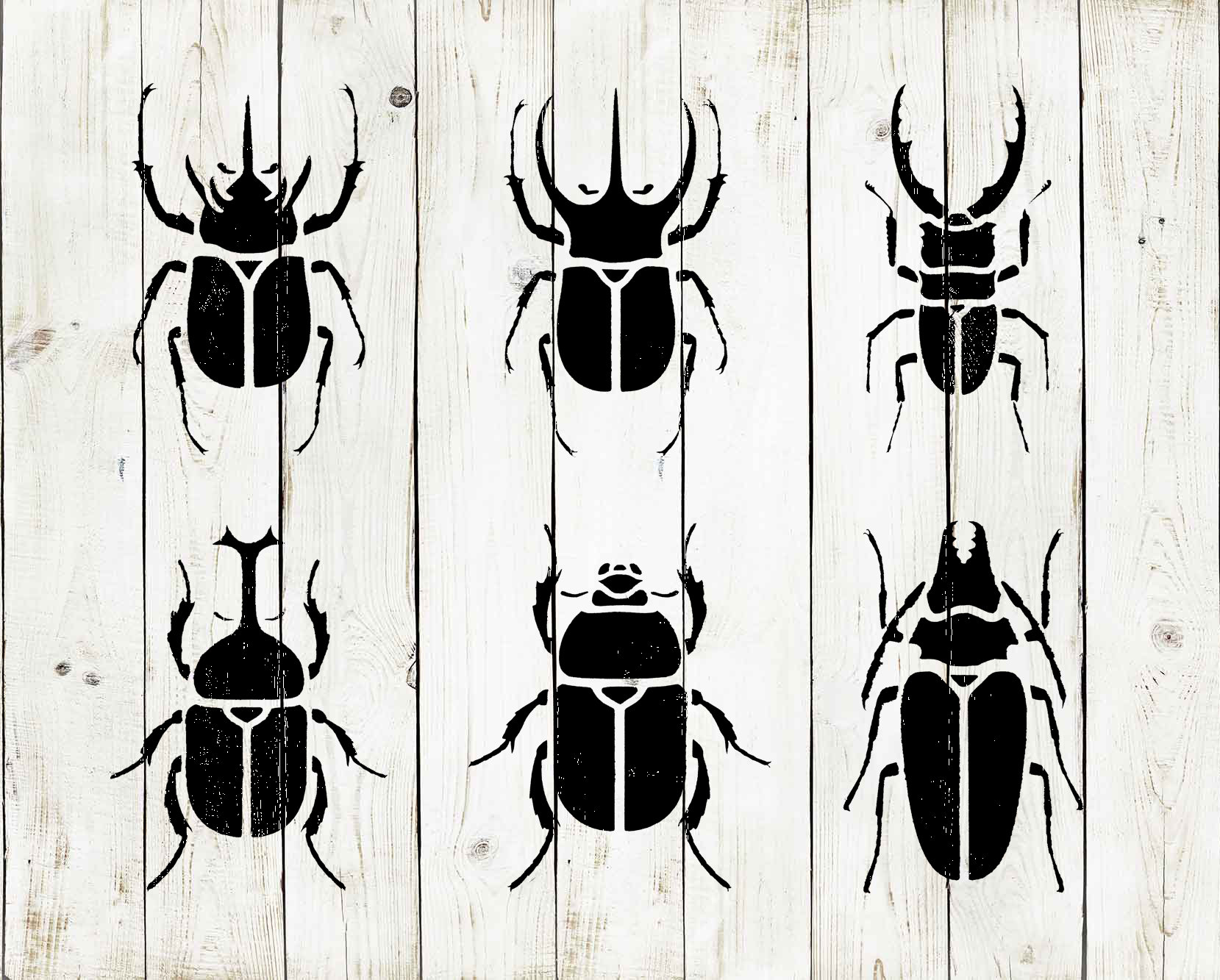 Beetle Stencil Reusable Color Draw & Paint Stencil | Etsy