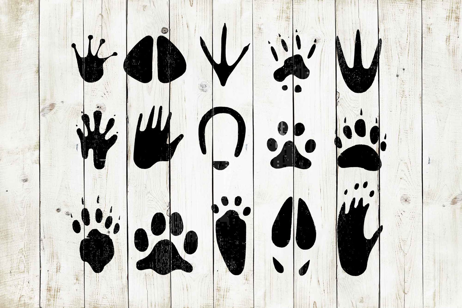 Animal Footprint Stencil 11x9 Reusable Color Draw Paint Etsy