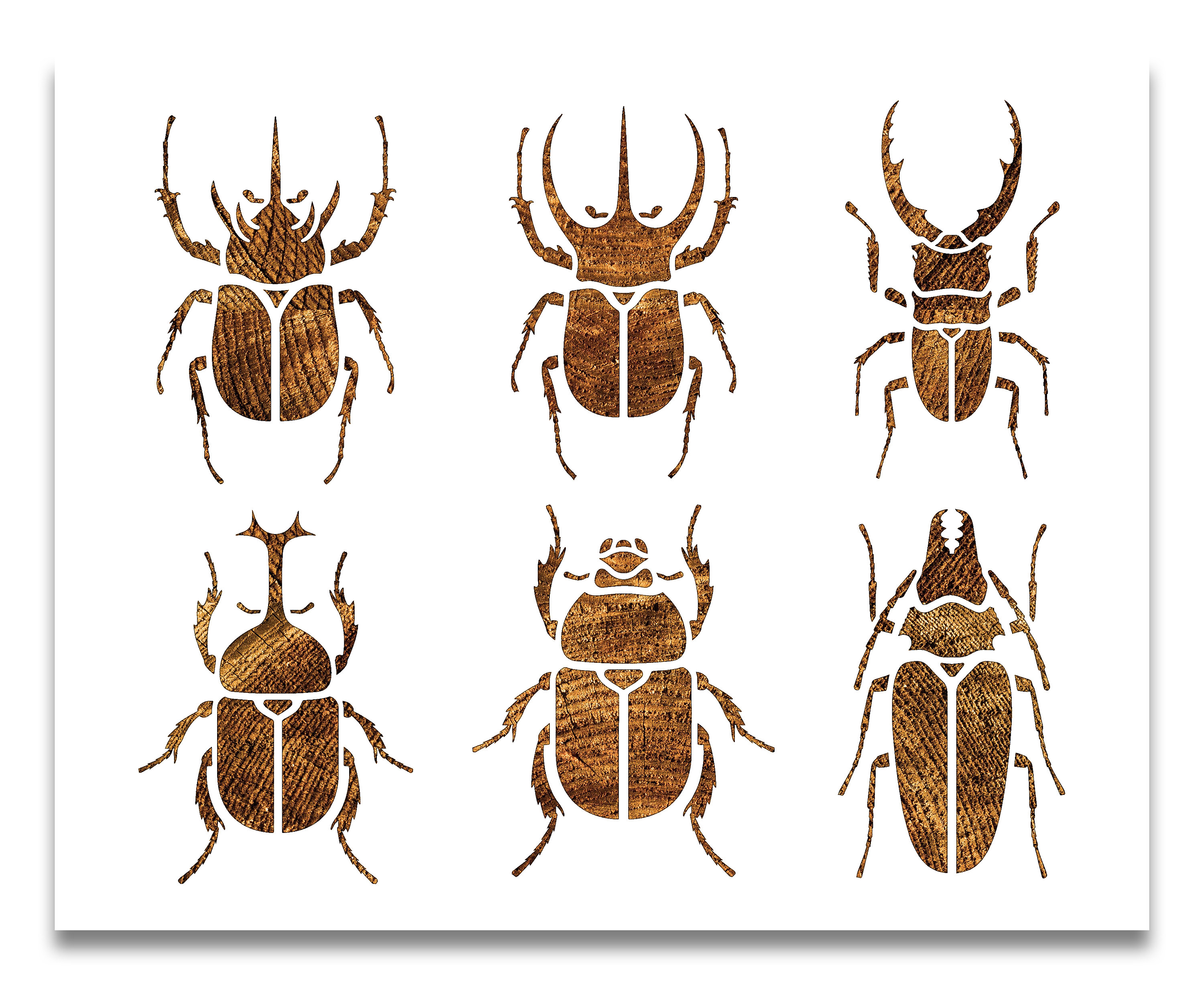 Beetle Stencil Reusable Color Draw & Paint Stencil Etsy