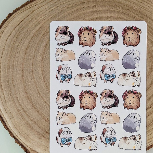 Guinea Pig Sticker Sheet 24 stickers - A perfect gift for modern guinea pig lover!