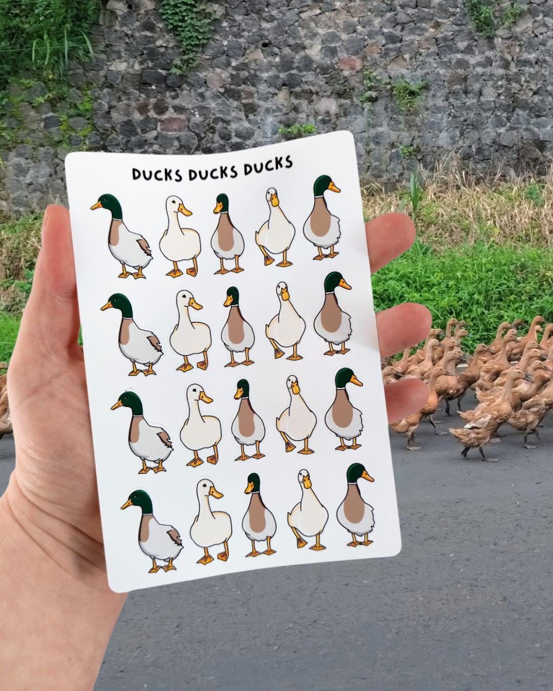 Duck Sticker Sheet - Etsy