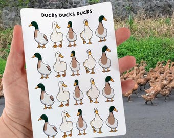 Duck Sticker Sheet