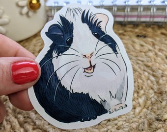 Tuxedo guinea pig sticker