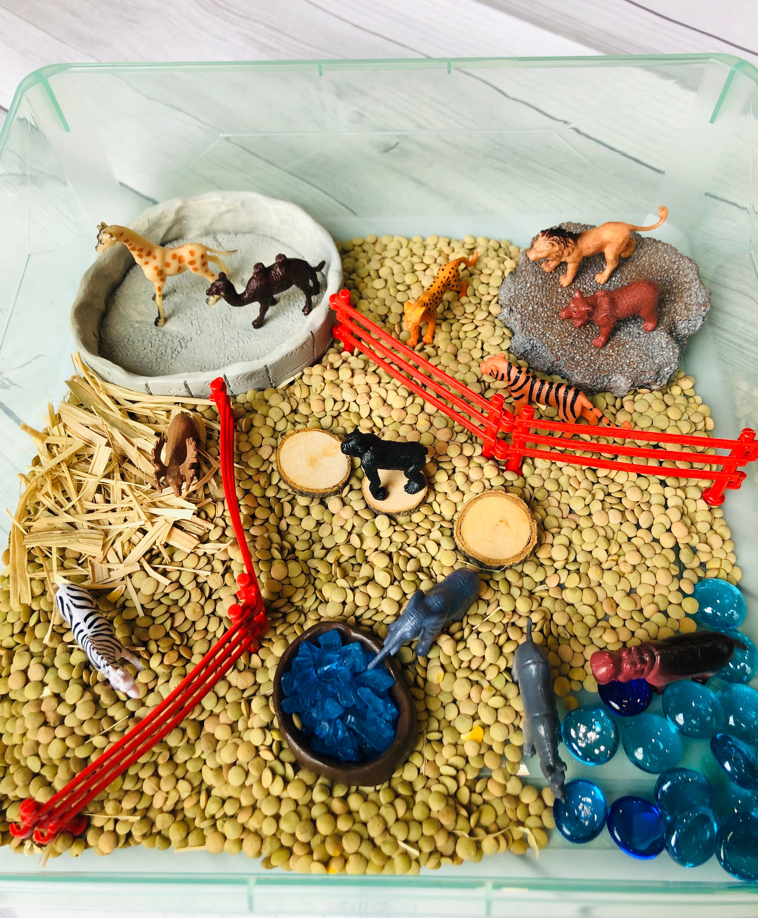 Zoo Sensory Bin Kit Etsy