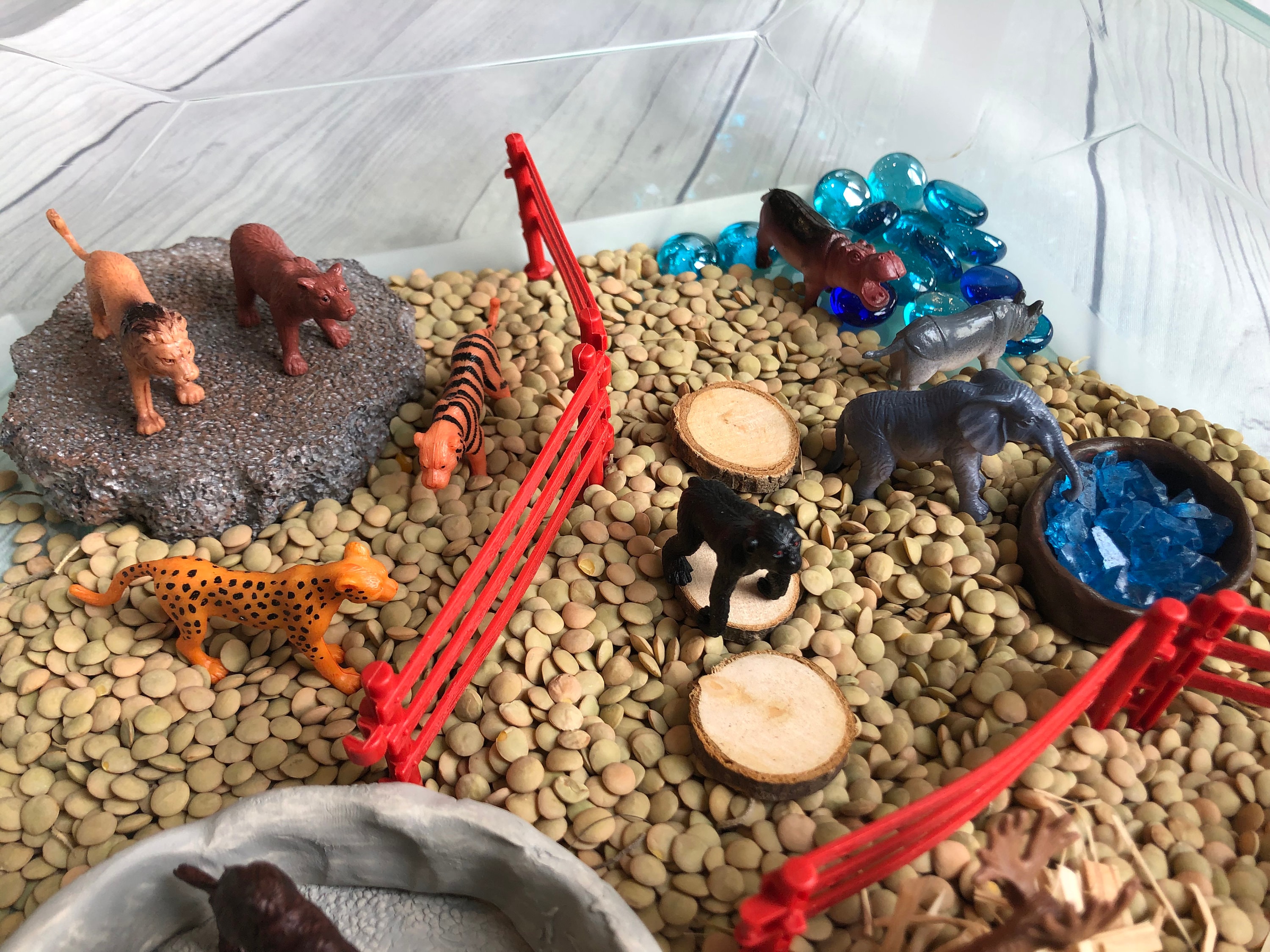 Zoo Sensory Bin Kit Etsy