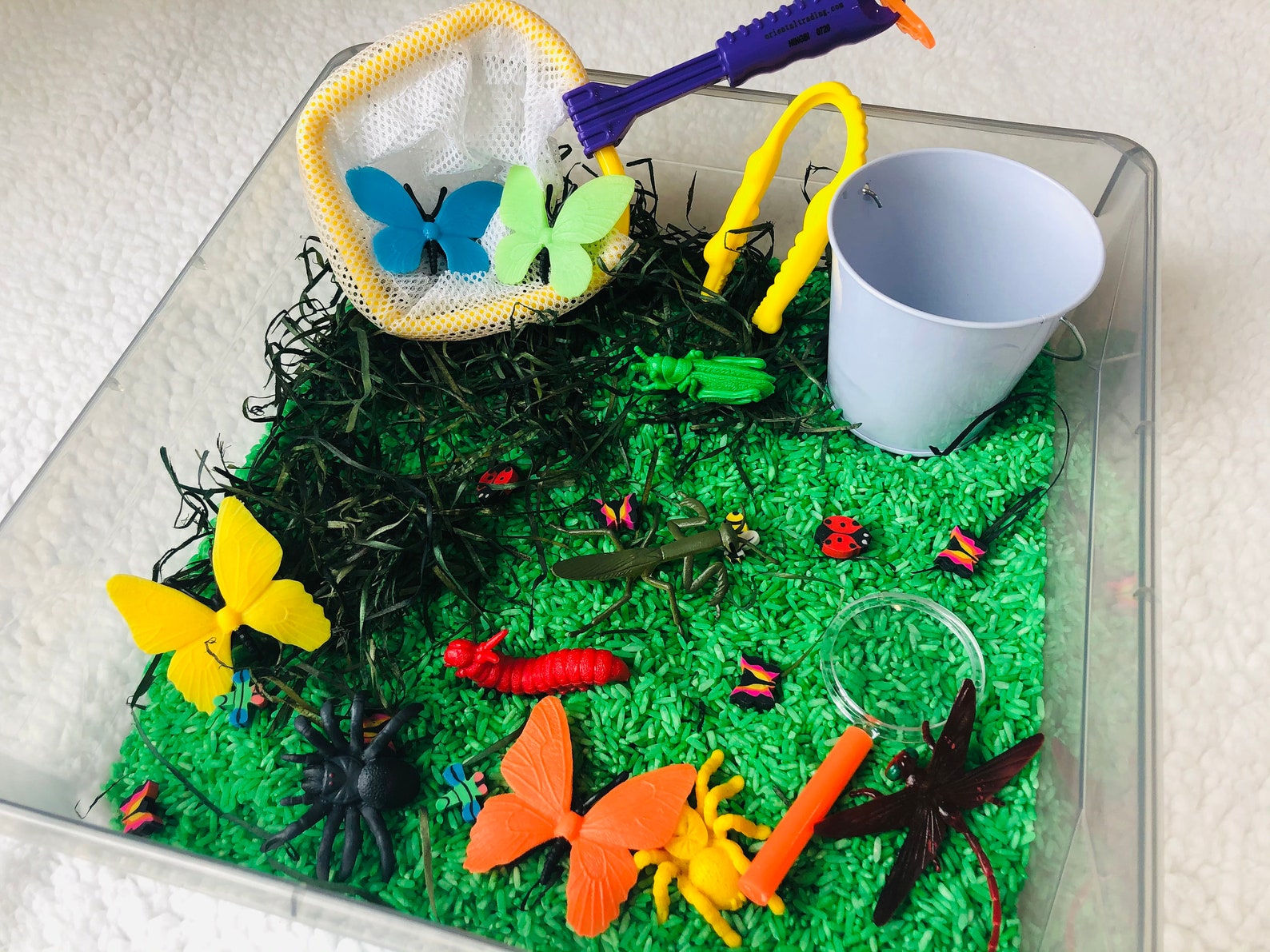 Bug Sensory Bin Kit - Etsy Australia