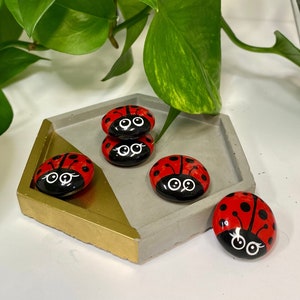 Ladybug Rocks , Paint Your Own Ladybug Rock, Ladybug Rock Set , Rock  Painting Kit, Kit for Adults, Craft Kits, Ladybug Decor, Ladybug Craft 
