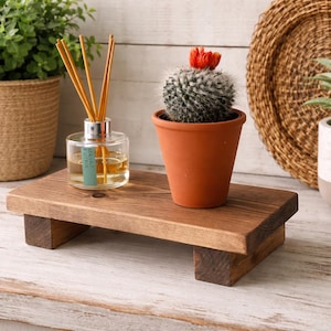 May include: A small, rustic wooden plant stand displays a cactus in a terracotta pot, a glass diffuser with reeds, and a succulent. The stand is stained brown and has a simple design. The cactus is in a pot.