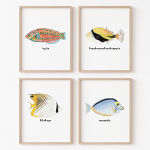 Hawaiian Fish Set of 4 Art Prints || ocean theme wall art beach decor coastal artwork surf poster beach prints watercolor room decor