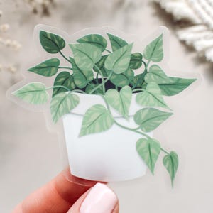 May include: A clear sticker featuring a potted plant with green leaves. The plant is in a white pot with a simple design.