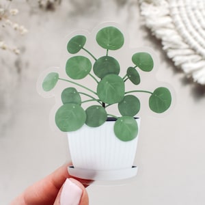 Pilea Peperomioides Clear Vinyl Sticker || outdoor nature stickers artwork house plant lover plant mom plant decor chinese money plant