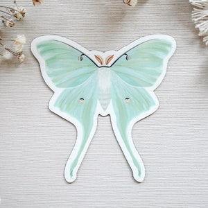Luna Moth Magnet || outdoor nature lover gift spring decor summer decor artwork garden art aesthetic green luna moth car magnet moth art