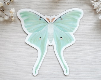 Luna Moth Magnet || outdoor nature lover gift spring decor summer decor artwork garden art aesthetic green luna moth car magnet moth art