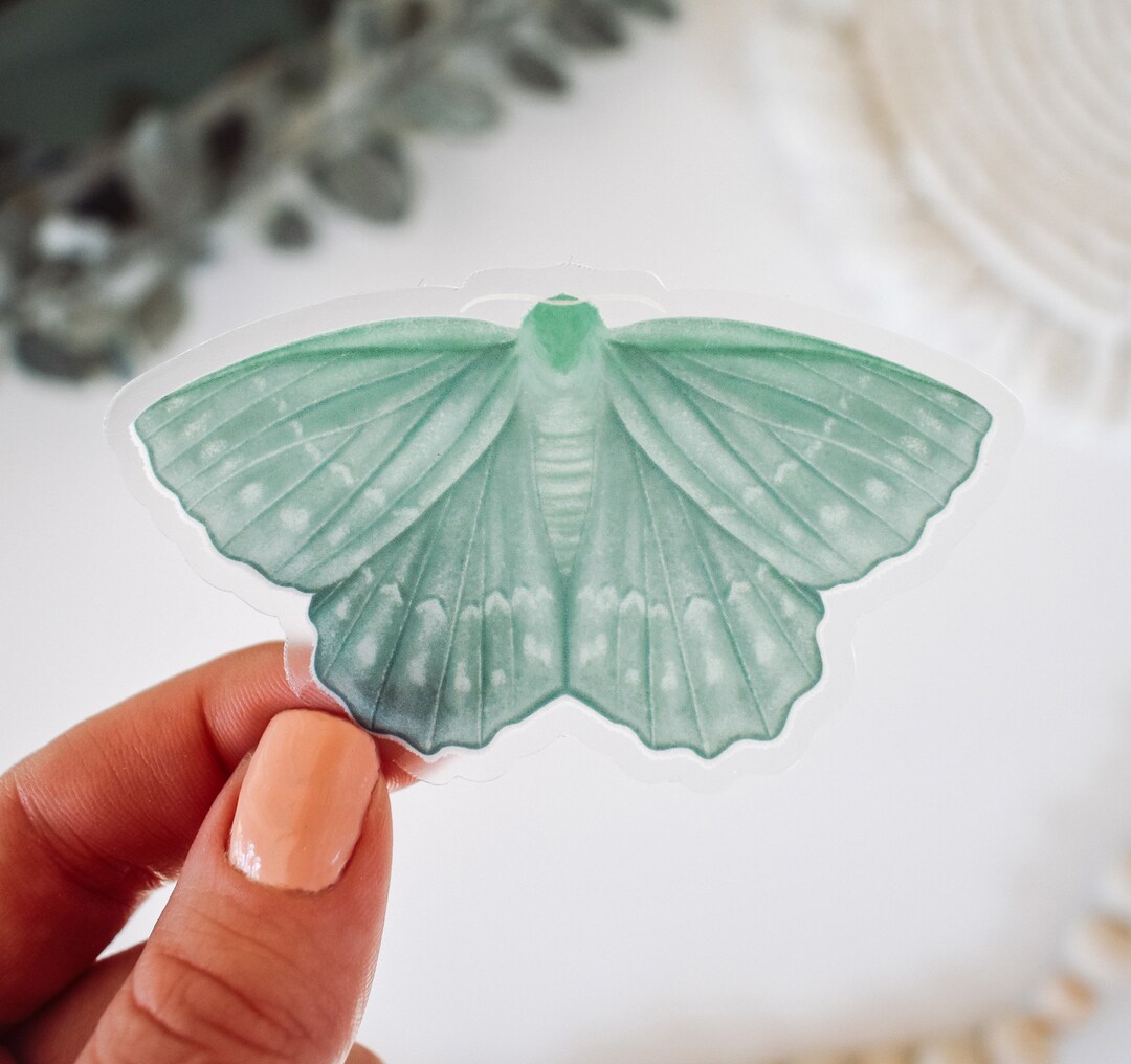 Emerald Moth Clear Vinyl Sticker || Outdoor Nature Sticker Spring Decor ...