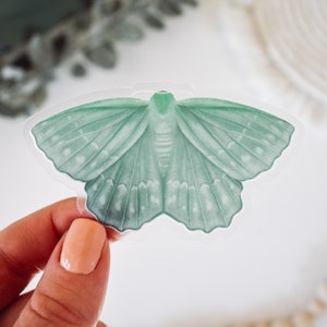 Emerald Moth Clear Vinyl Sticker || outdoor nature sticker spring decor summer decor artwork garden art aesthetic sticker green moth sticker