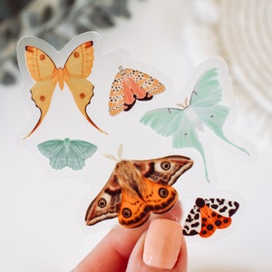 Majestic Moths Clear Vinyl Sticker // pegatinas de naturaleza al aire libre decoración de primavera decoración de verano arte jardín arte estética polilla luna polilla emperador