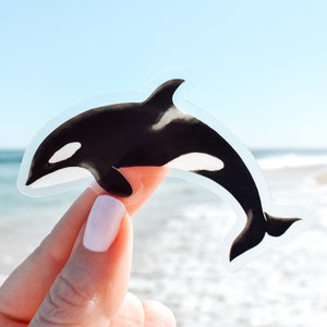 Orca Whale Clear Vinyl Sticker || ocean sticker surf sticker summer decor coastal beach sticker art sea creature sea animal killer whale