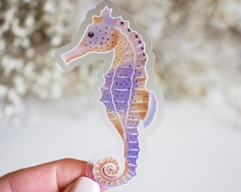 Seahorse Clear Vinyl Sticker || ocean sticker surf sticker summer decor coastal beach sticker art sea creature sea animal aesthetic