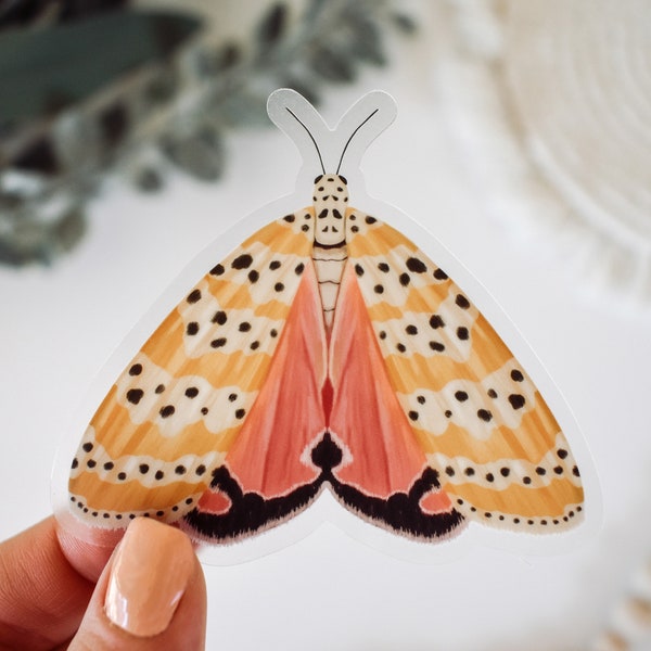 Autocollant en vinyle transparent Bella Moth || autocollants extérieurs nature décoration de printemps décoration d'été oeuvres d'art art de jardin autocollant jaune rose papillon de nuit