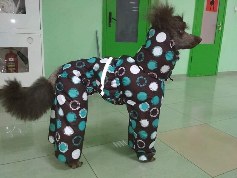 Raincoat for STANDARD POODLE Etsy