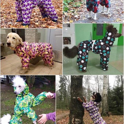 Raincoat for STANDARD POODLE Etsy