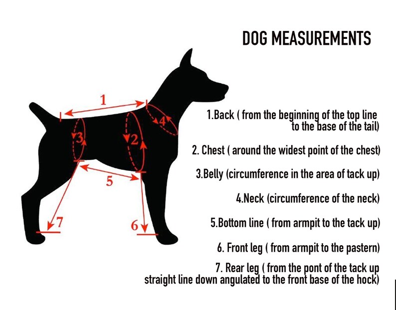 Raincoat for STANDARD POODLE Etsy