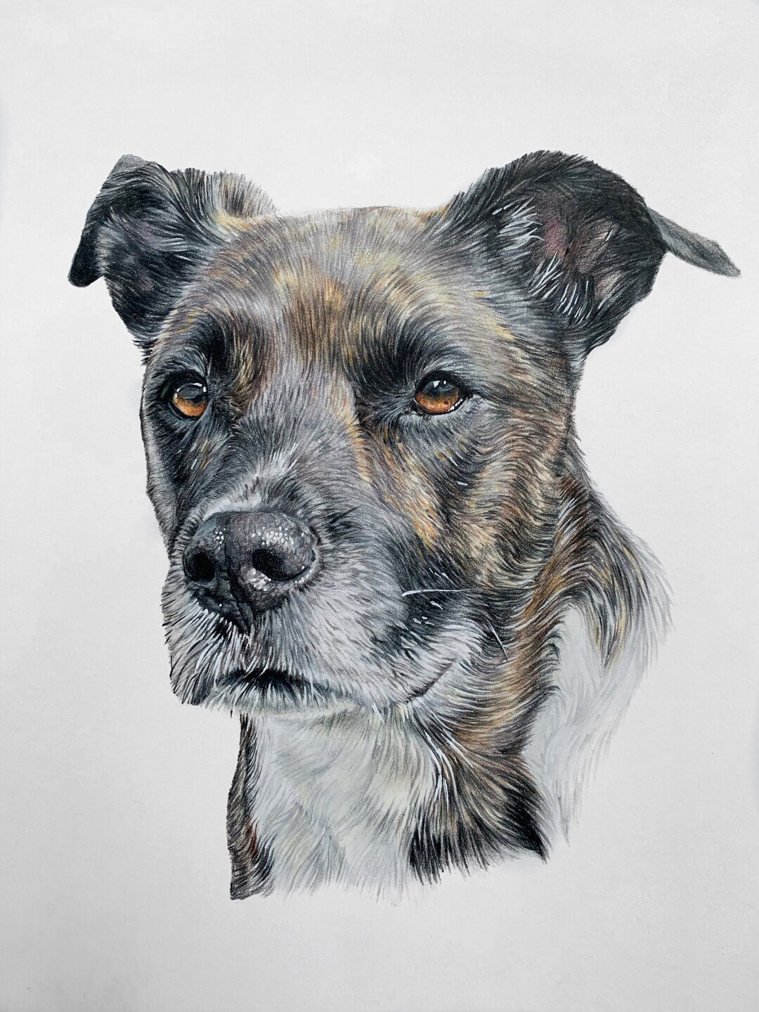 Custom Hand Drawn Colored Pencil Pet Portrait | Realistic Dog or Cat ...