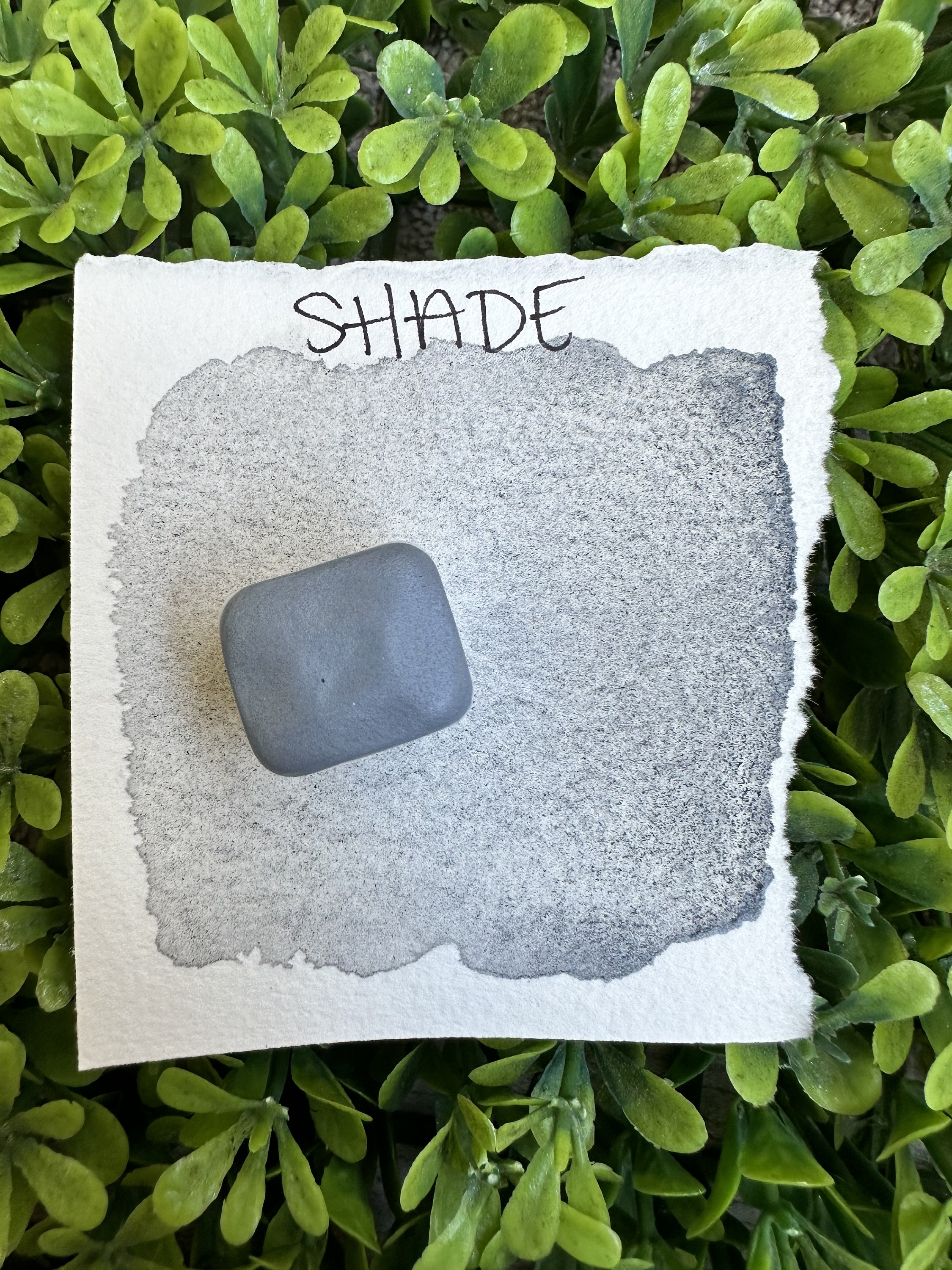 Shade | Grey Watercolor | Handmade Watercolors | Handmade Paint | Watercolors | Watercolor Artist | Handmade Florals