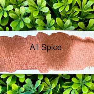 All Spice  | Handmade Watercolors | Handmade Paint | Watercolors | Watercolor | Watercolor Artist