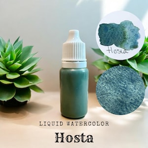May include: A small bottle of green liquid watercolor paint labeled "Hosta". The paint is a muted green color with a hint of blue. The bottle has a white cap and is sitting on a light brown surface.
