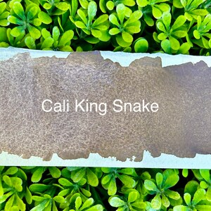 Serpent roi de Californie | Aquarelles faites main | Peinture faite main | Aquarelles | Aquarelle | Artiste aquarelliste