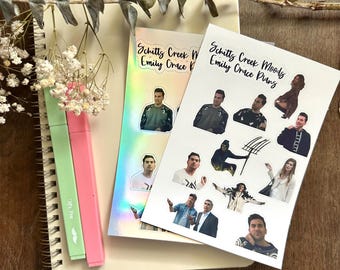 Schit-ts Creek - Funny Sticker Sheet- Embrace Your Inner Sass! Planner stickers, planner embellishments, curse words, dark humor, David Rose