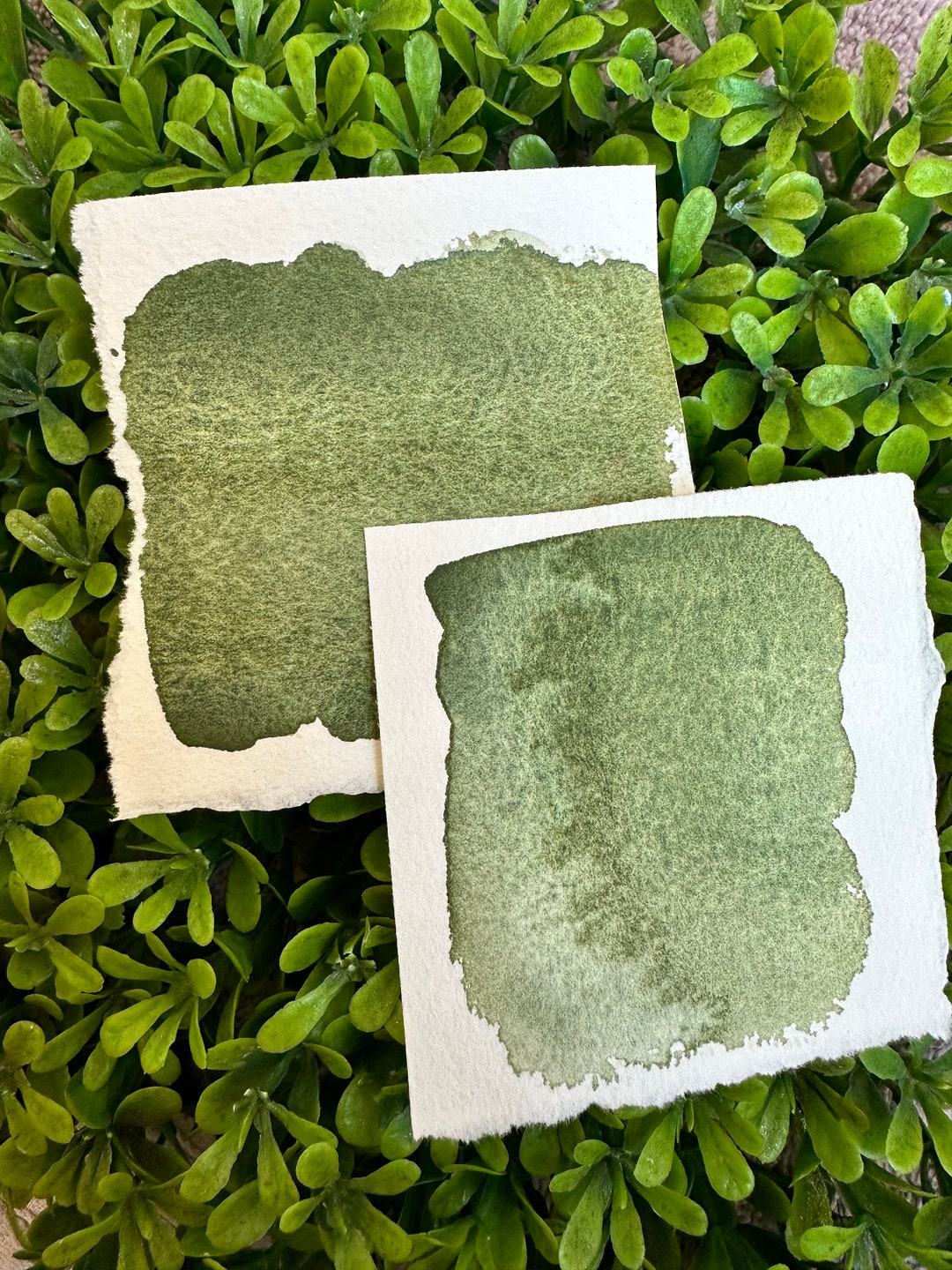 Bushy Granulation Handmade Watercolors Handmade Paint Watercolors