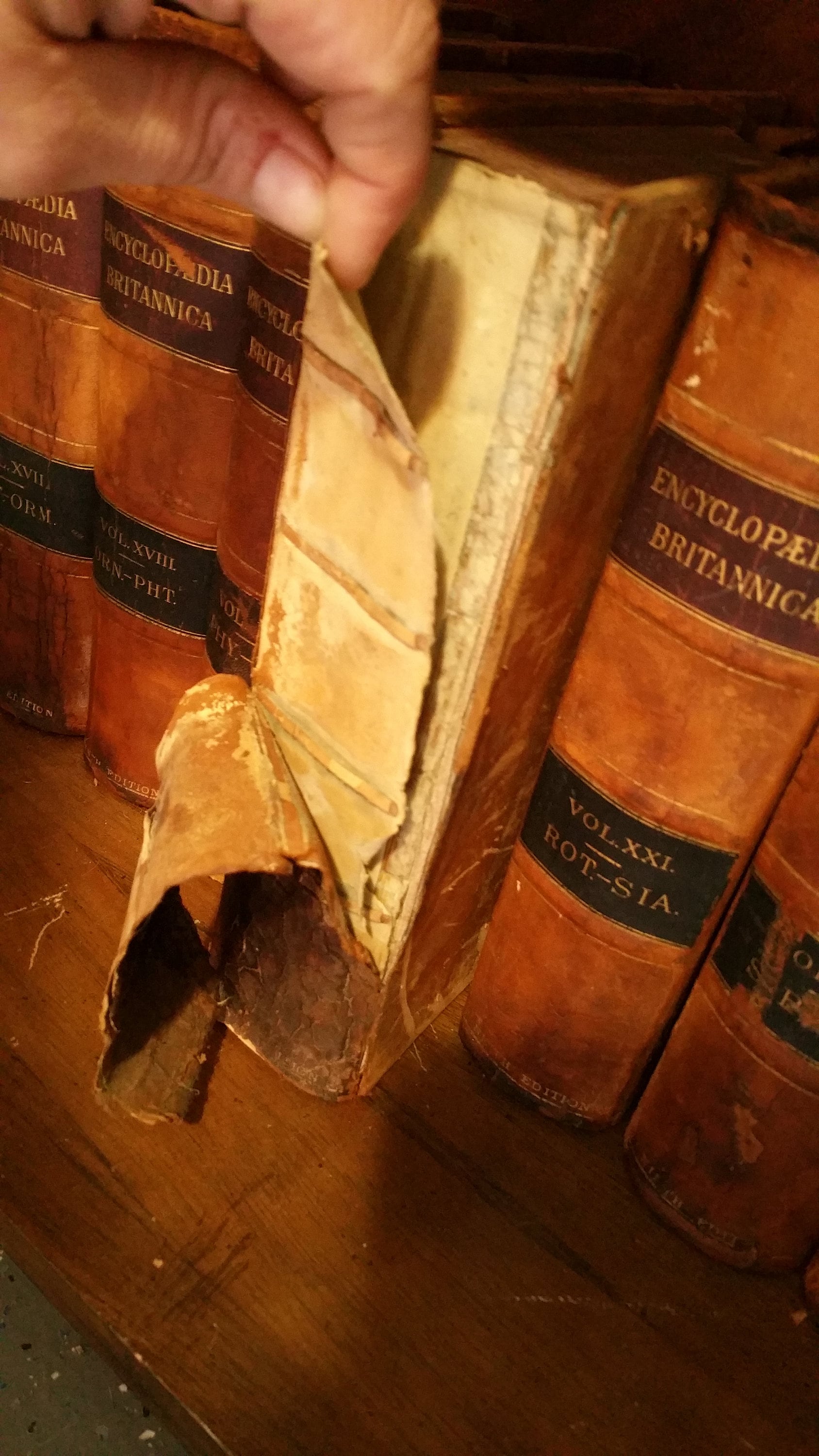 Complete 1878 Encyclopedia Britannica Leather Set 9th Edition