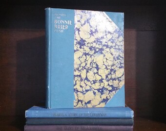 Lot 4 David C. Cook Antique Books Set Bonnie Brier Marti Mohammed Illustrated Reading Novel Religious Story Gold Gilt Color Plates Old Blue