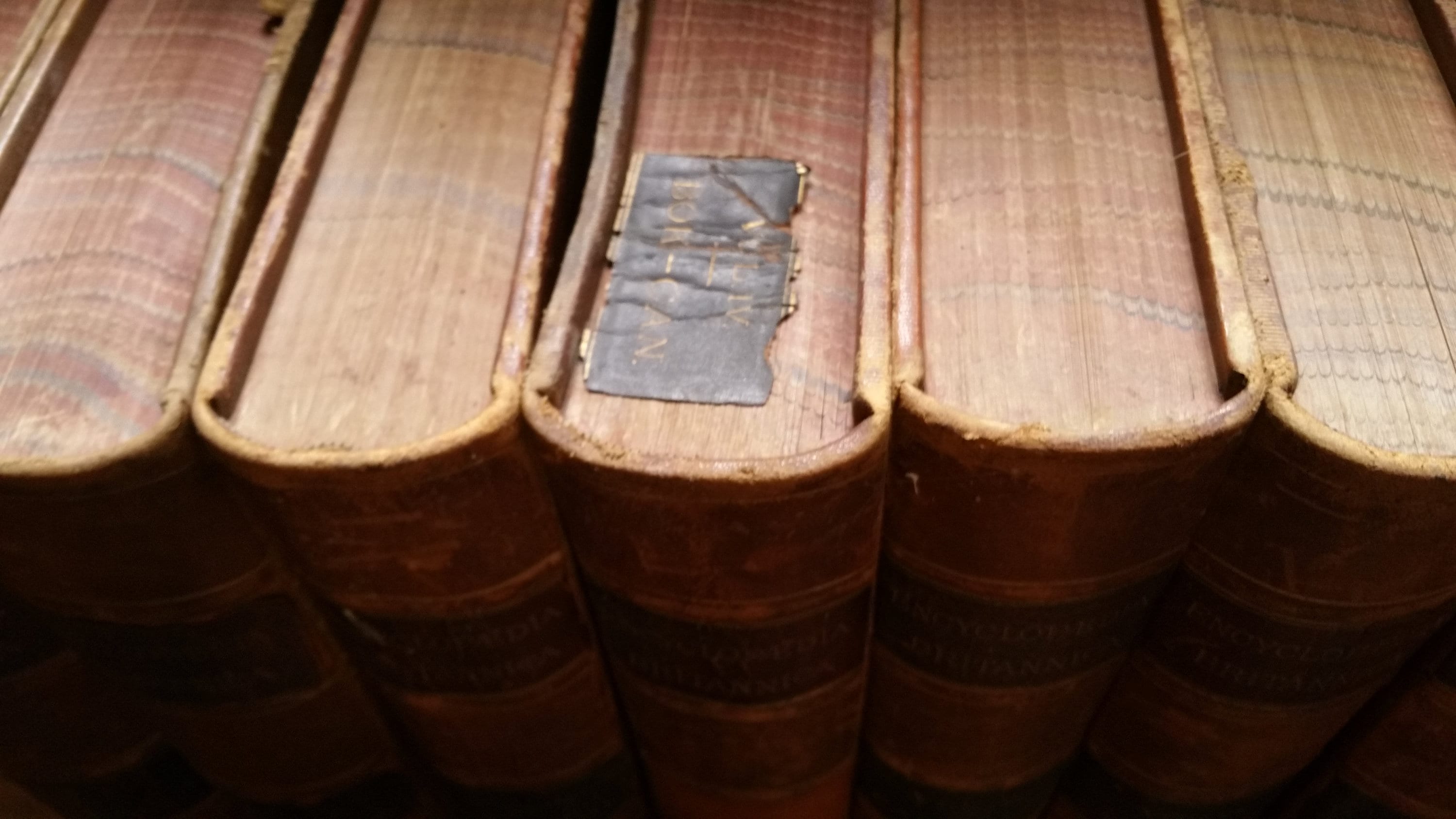 Complete 1878 Encyclopedia Britannica Leather Set 9th Edition