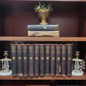 1893 Waverley Novels Edition de Grand Luxe Set Leather Decorative Book Volumes Gold Gilt Illustrated Antique Office Case Shelf Decor Library