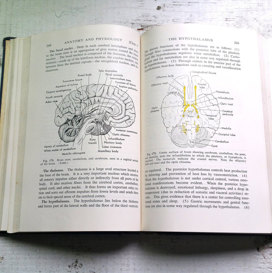 Textbook of Anatomy &amp; Physiology Vintage 1955 Kimber Doctor Illustrations Plates Illness ...