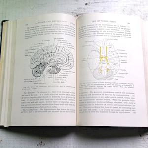 Textbook of Anatomy & Physiology Vintage 1955 Kimber Doctor Illustrations Plates Illness Physician Dentist Medical Disease Health Old Cells